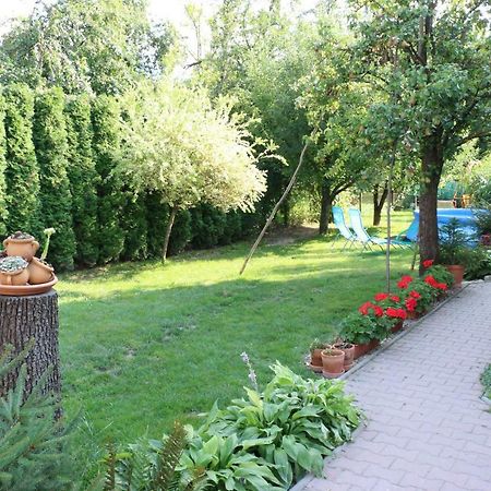 Privat Cerenica Daire Belusa Dış mekan fotoğraf